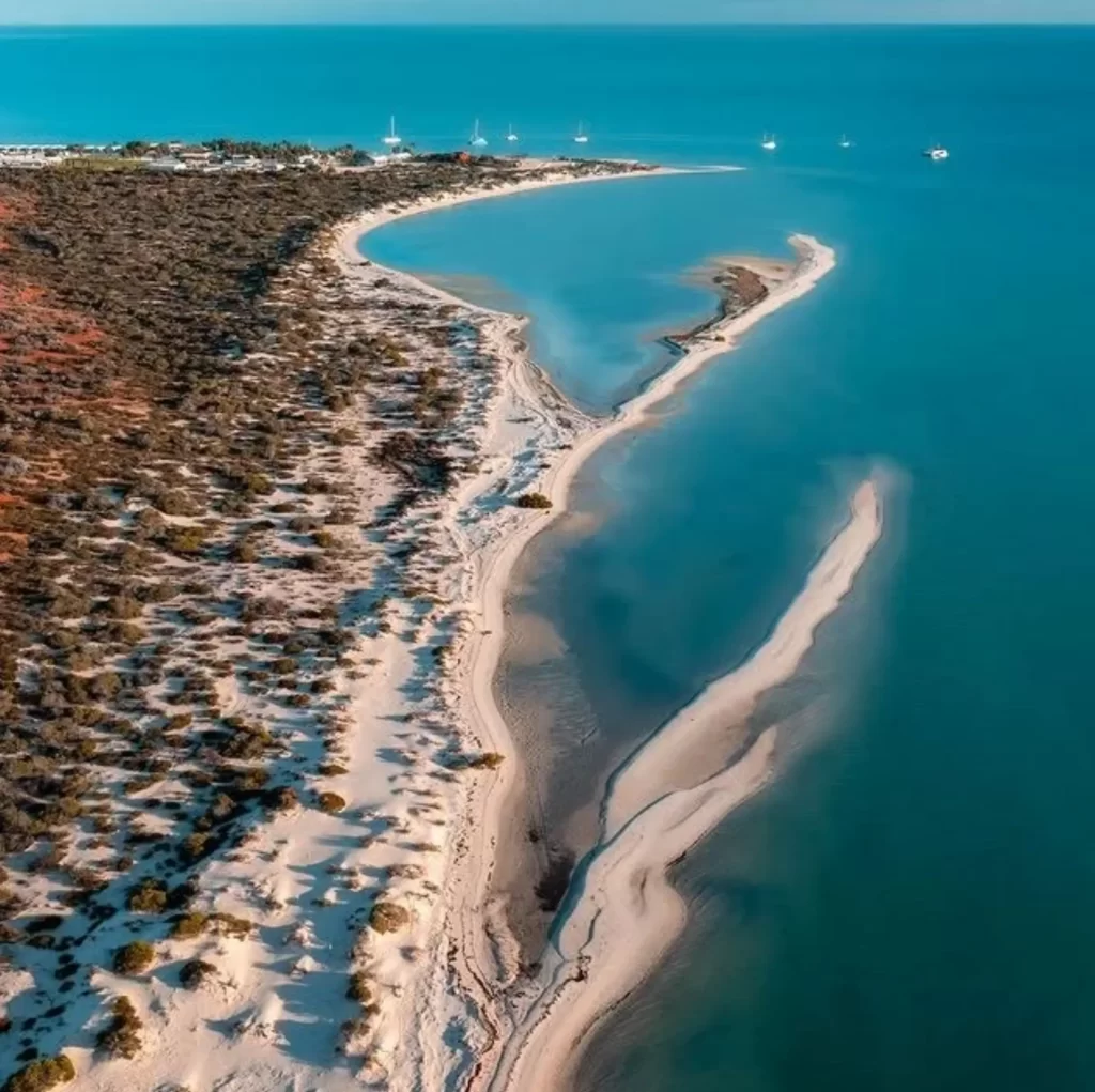 Shark Bay, Monkey Mia