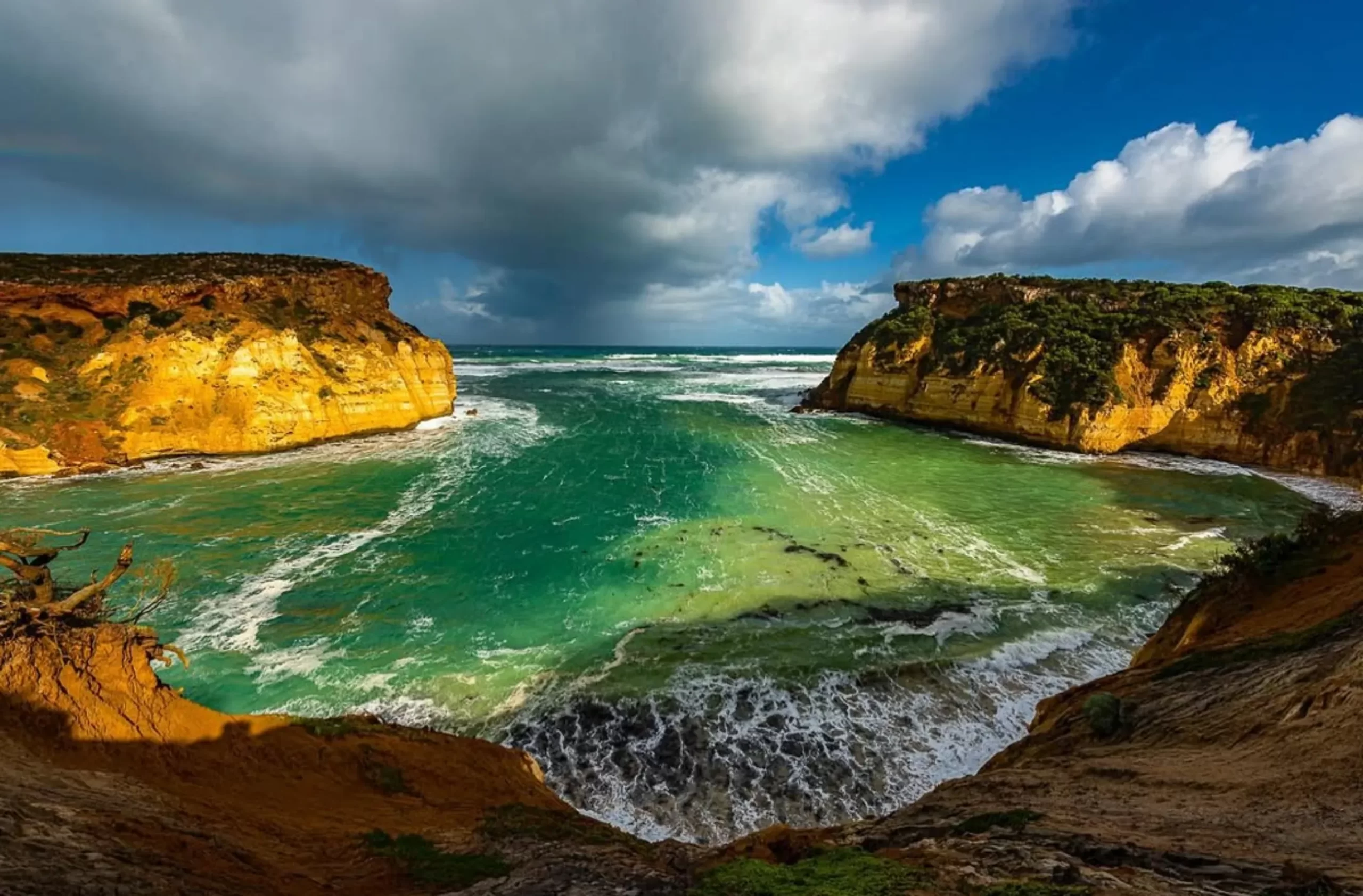 Great Ocean road day tour from Melbourne