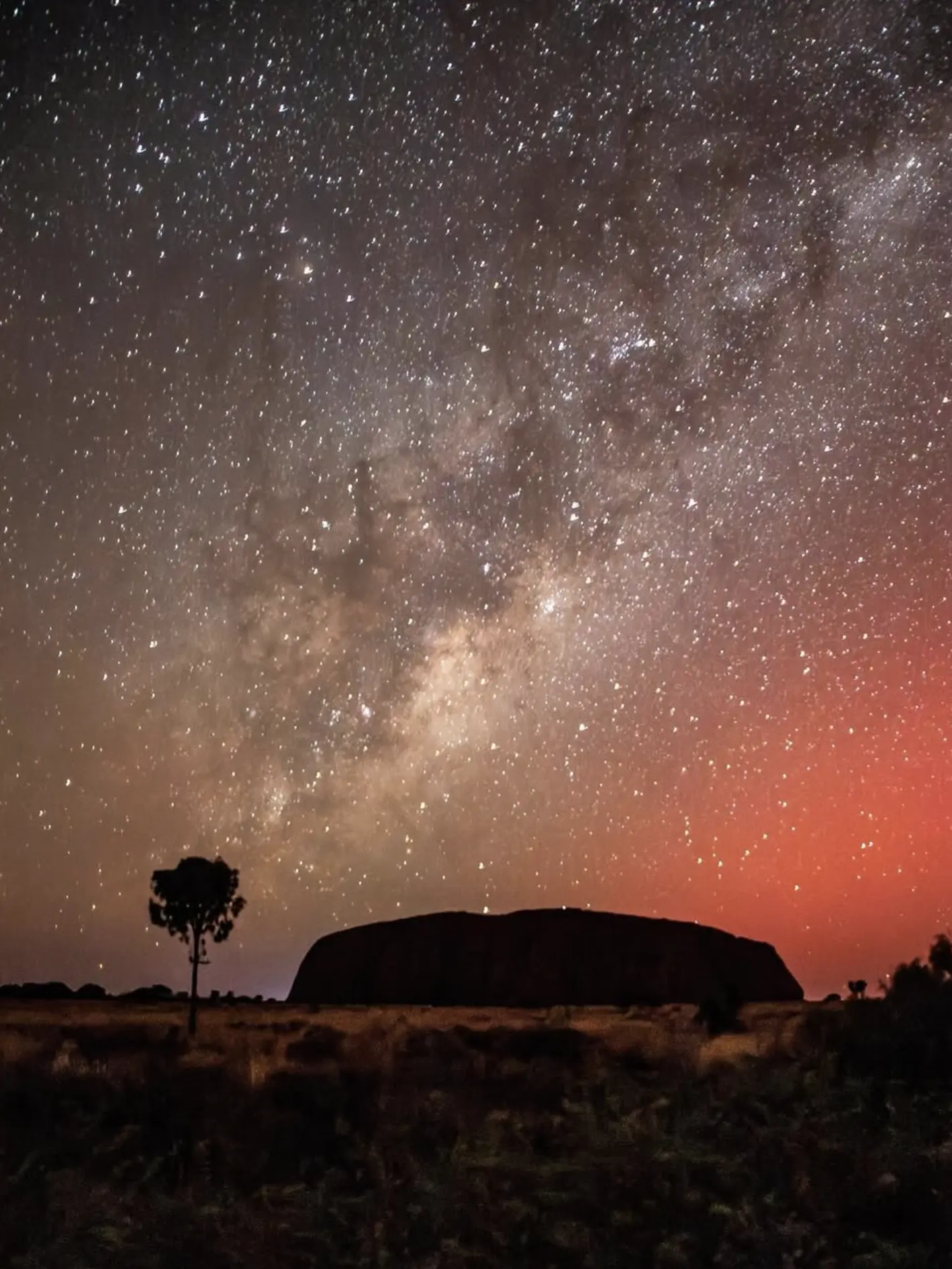 Red Desert Nights