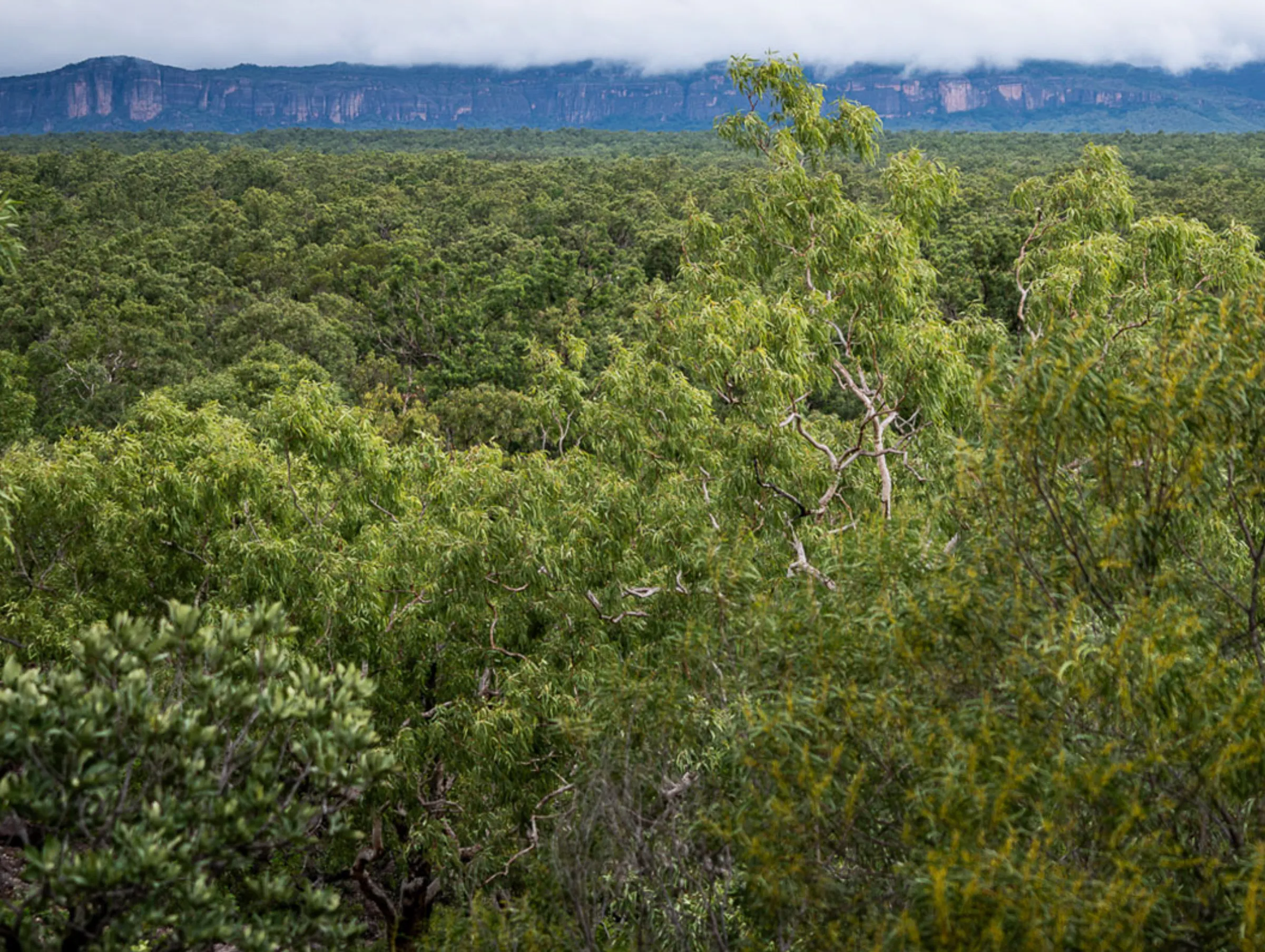 cultural landscape, Kakadu