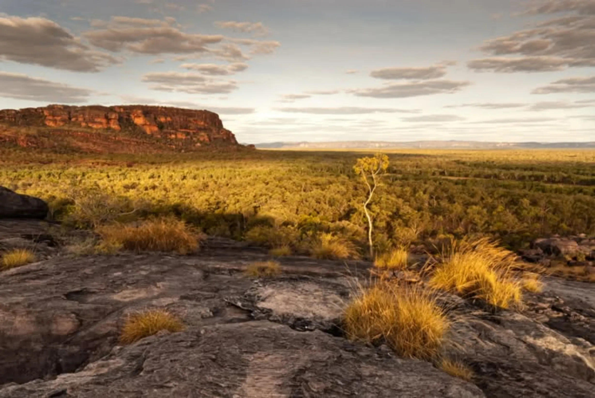 management actions, Kakadu